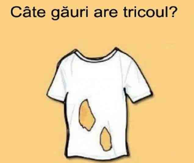 Cate gauri are tricoul