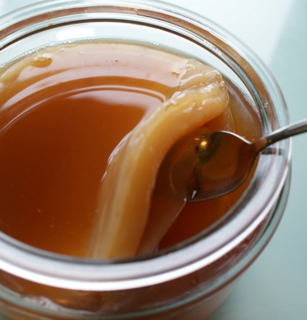 Kombucha – Ciuperca din borcanul cu ceai. Ce beneficii însoțește băutura magică