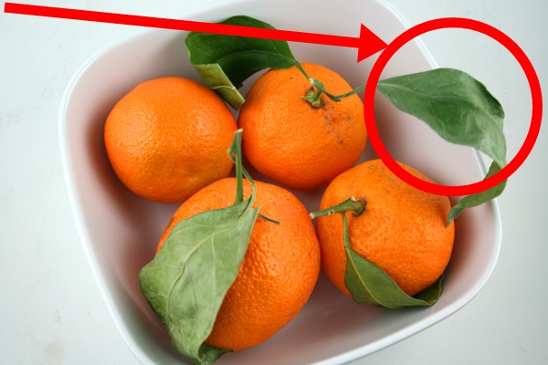 Secretele ascunse in clementinele cu frunze din supermarketuri. Acum că știi, mai cumperi?