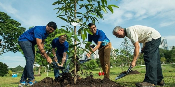 Elevii și studenții din Filipine trebuie să planteze 10 copaci pentru a-și putea lua diplomele