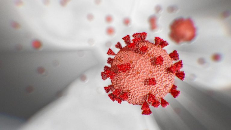 De ce noul coronavirus este letal pentru unii pacienți, iar alții sunt asimptomatici?