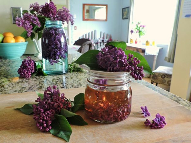 Tratamente naturiste cu flori de liliac. Iată cum poți să le utilizezi!