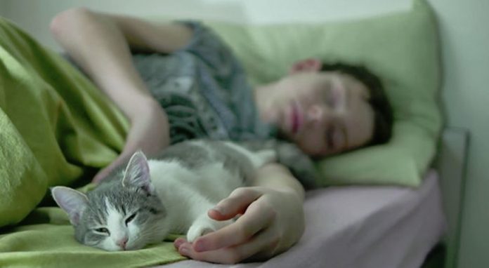 Dormi cu pisica în pat sau în cameră? Iată ce trebuie să știi