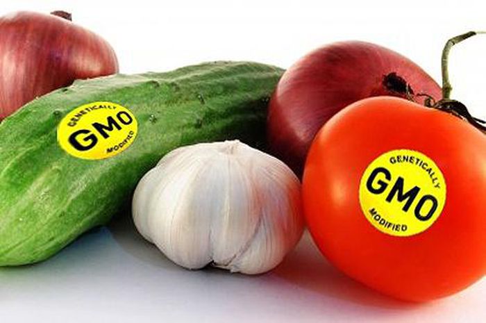 Ce sunt plantele modificate genetic şi ce astfel de plante consumăm? Sunt cu adevărat periculoase alimentele modificate?