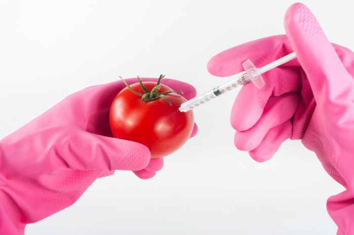 Ce sunt plantele modificate genetic şi ce astfel de plante consumăm? Sunt cu adevărat periculoase alimentele modificate?