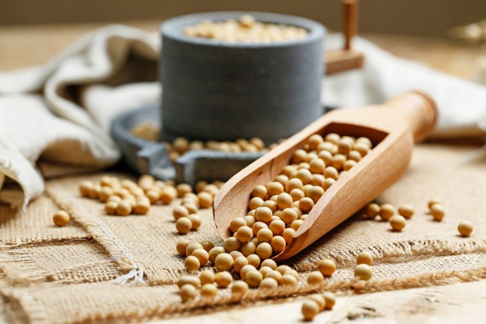 Proteine ca în carne, dar fără colesterol – Beneficiile impresionante ale consumului de soia