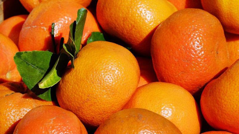 Diferența dintre clementine și mandarine. Detalii mai puțin știute despre aceste fructe