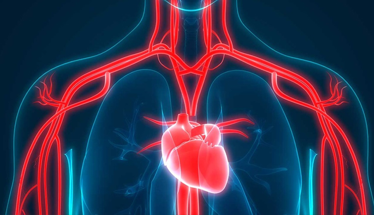 Rețete și sfaturi pentru curățarea arterelor și menținerea sănătății inimii