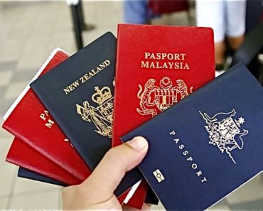 Pasapoartele in lume sunt doar de patru culori, si iata de ce