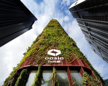 Hotelul eco care are propriul ecosistem și crește singur