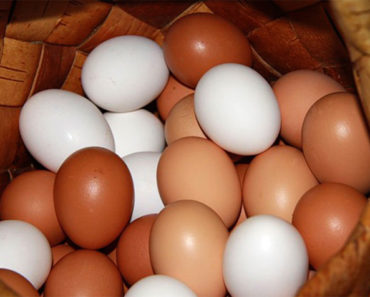 Care oua sunt mai bune – albe sau maro?