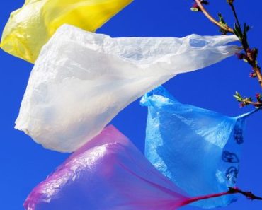 România va interzice anul acesta pungile din plastic
