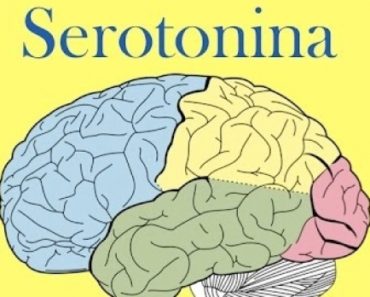 Serotonina – beneficii, riscurile deficitului si surse alimentare