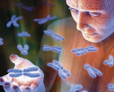 Ultimele studii despre ADN – Noi păstrăm memoria tuturor strămoşilor de la facerea lumii!