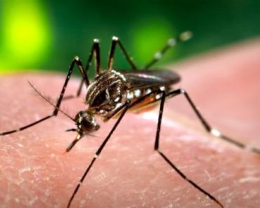 Virusul Zika s-a răspândit în 87 de țări și ruinează vacanțele turiștilor