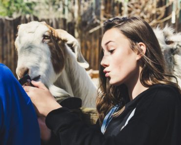 Lapte de capra pentru frumusete si cateva secrete ale acestuia