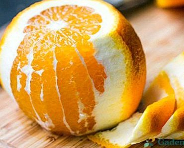 Faci prajituri cu coaja de portocala sau de lamaie? Renunta! Iata de ce