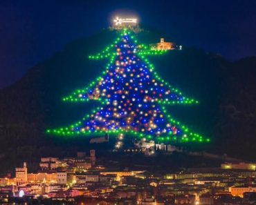 În Italia au aprins cel mai mare pom de Crăciun din lume!