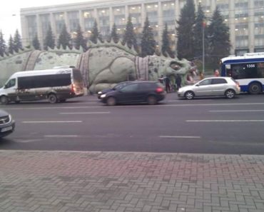 O şopârlă uriaşă a apărut lângă bradul de Crăciun din Chișinău/ Primarul cere demisii – FOTO