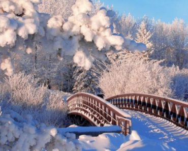 10 Curiozități despre iarnă