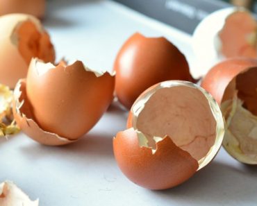 15 utilizari mai putin cunoscute ale cojilor de oua