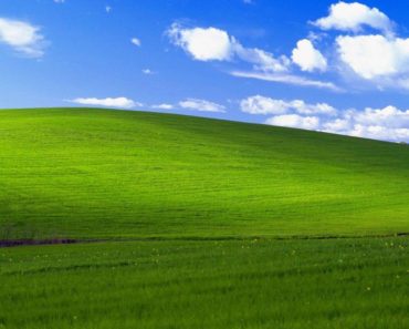 Cum arată astăzi cel mai cunoscut peisaj din lume, fundalul Windows XP și câți bani a primit fotograful