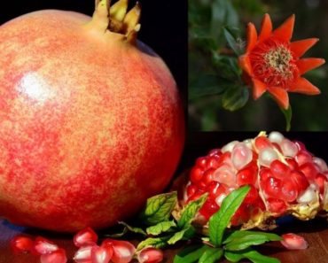 Rodia – beneficiile nu „stau” doar in fruct, ci si in coaja si seminte