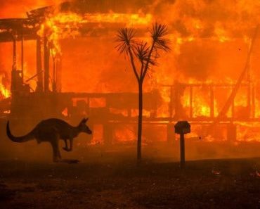 Ordin de evacuare în masă, din cauza incendiilor, în Australia. Nave şi elicoptere militare, trimise să salveze oamenii din foc