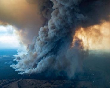 Agenţia Europeană de Mediu: „Incendiile de vegetație, inundațiile și secetele se vor înmulți dacă nu vor fi luate măsuri”