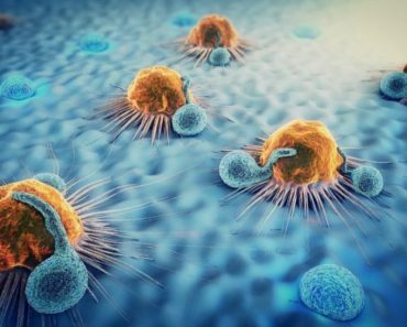 Cercetătorii au dezvăluit alimentele care ”programează” sistemul imunitar să distrugă cancerul