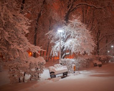 Iarna la București! Poze spectaculoase din capitală!
