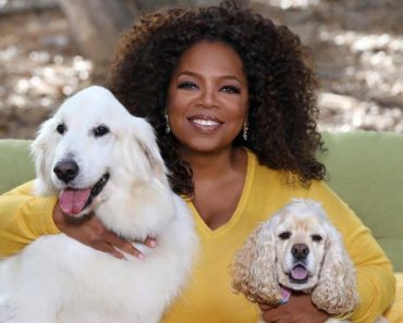 Supranumită ÎNȚELEAPTA AMERICII, Oprah Winfrey spune care sunt cele mai importante lecții de viață