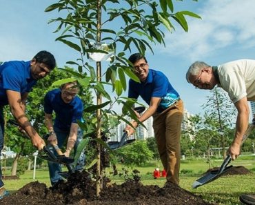 Elevii și studenții din Filipine trebuie să planteze 10 copaci pentru a-și putea lua diplomele