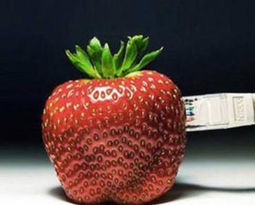 Universul digital cât o căpșună: 7 lucruri pe care nu le știai despre internet