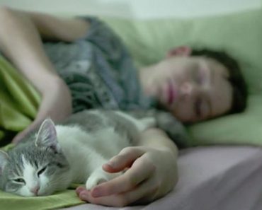 Dormi cu pisica în pat sau în cameră? Iată ce trebuie să știi