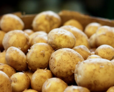 Cartoful – o sursă excepţională de vitamine şi minerale