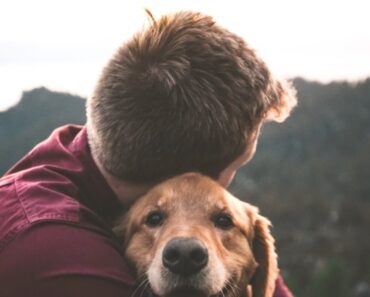 Te iubește câinele tău? 7 dovezi de iubire ale câinilor