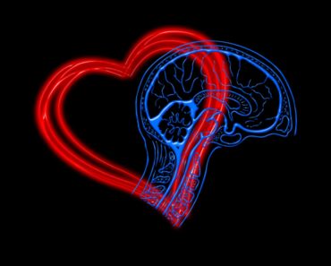 De ce inima se află în partea stângă a corpului? Alte curiozităţi despre acest fascinant “motor” al organismului