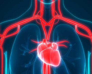 Rețete și sfaturi pentru curățarea arterelor și menținerea sănătății inimii